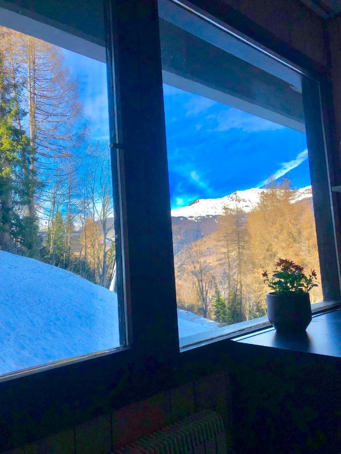 **New**Marilleva 1400**Trilocale Sulle Piste Apartment Екстериор снимка